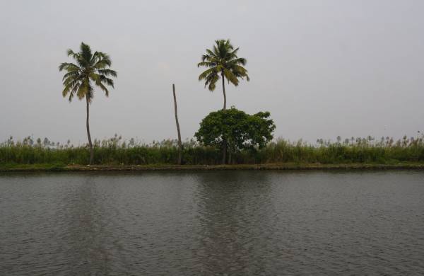 Back water, ������