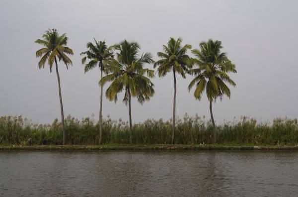 Back water, 