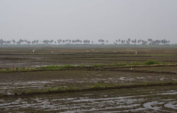 Back water, ������