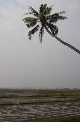 Back water, ������