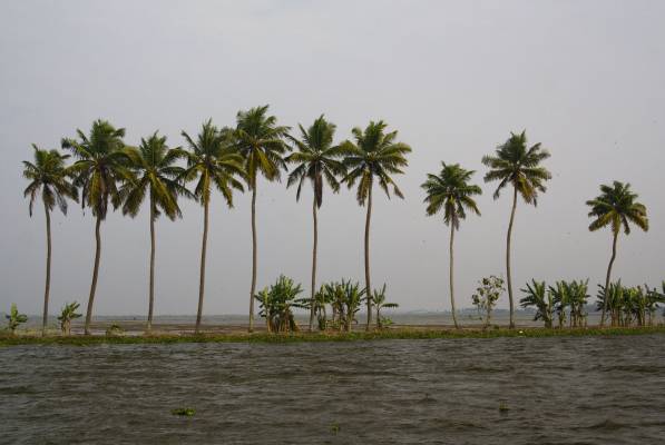 Back water, ������