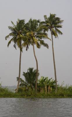 Back water, ������