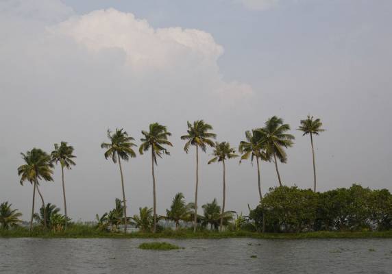 Back water, ������