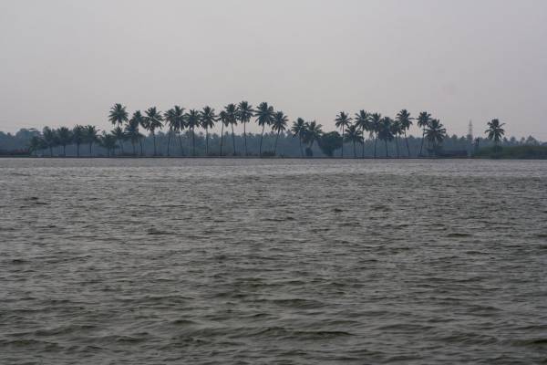 Back water, 