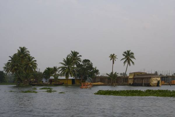 Back water, ������