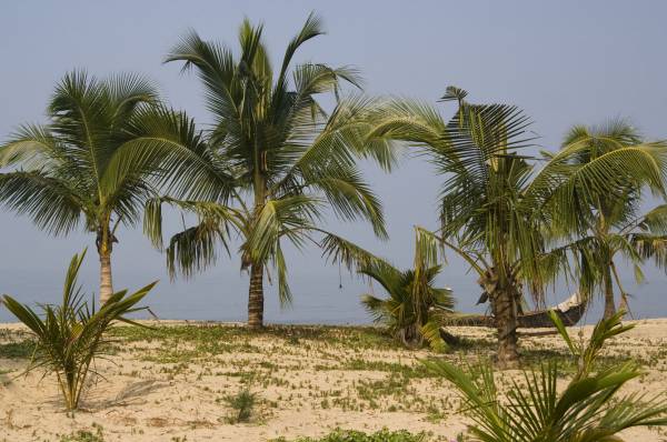 �����������, ������