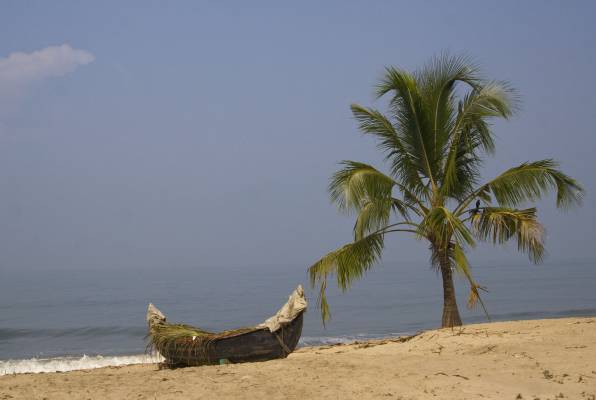 �����������, ������