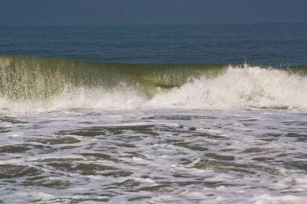 �����������, ������