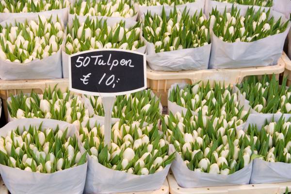 ��������� �����