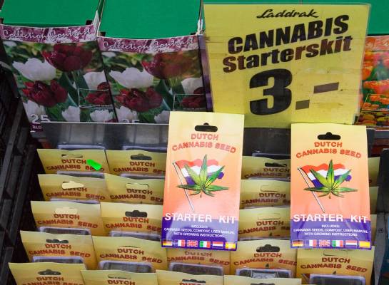 ��������� �����