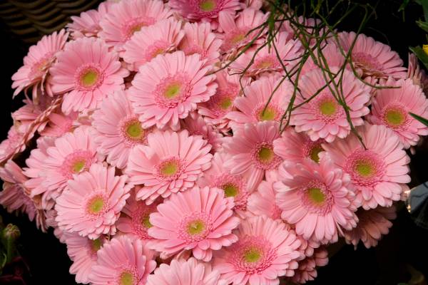 ��������� �����