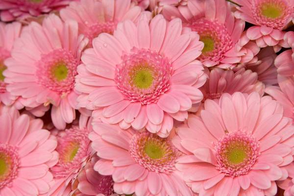 ��������� �����