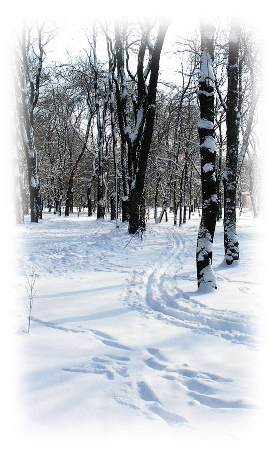 ������ ���� (11)