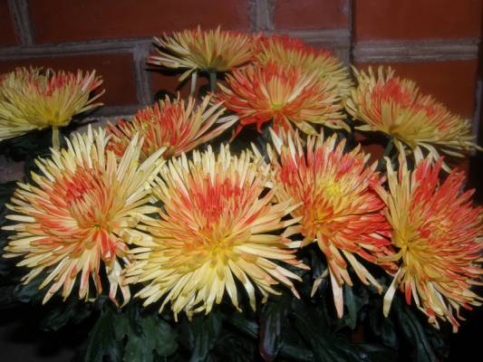 ����������