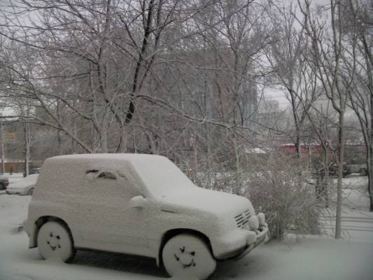 ���� �� ������������