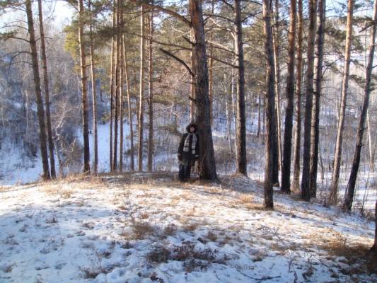 ����������...