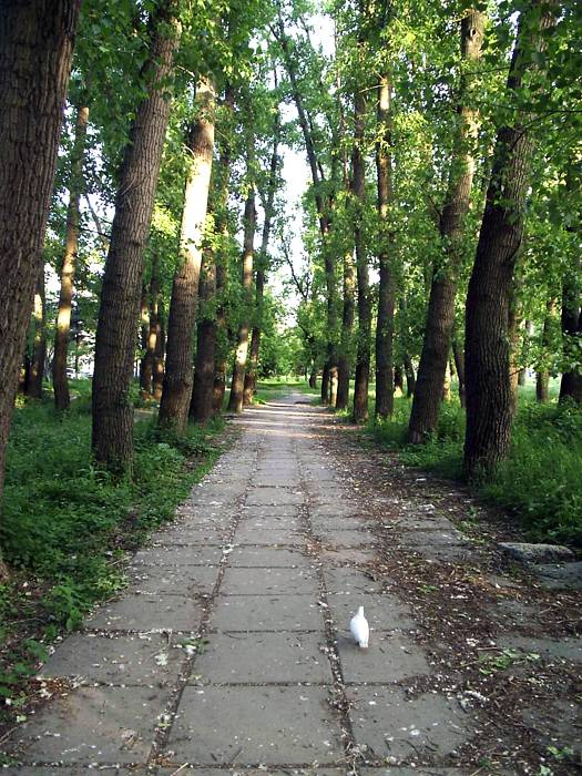 ����������� �����