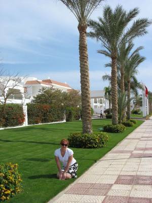 ������ ����� �����