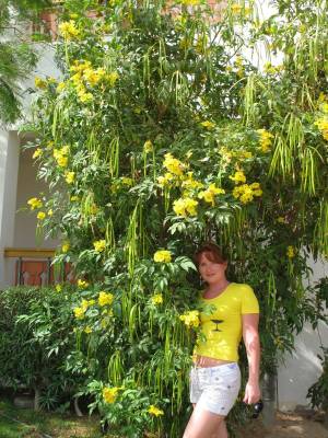 ������. ��� ������� ����