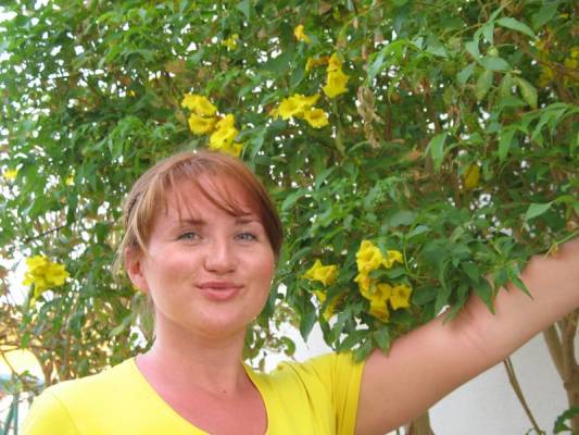 � ����� ������