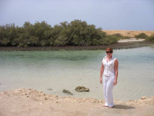 ��������� ����