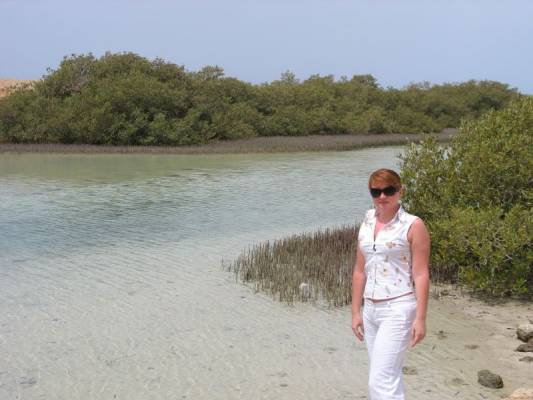 ��������� ���� 2