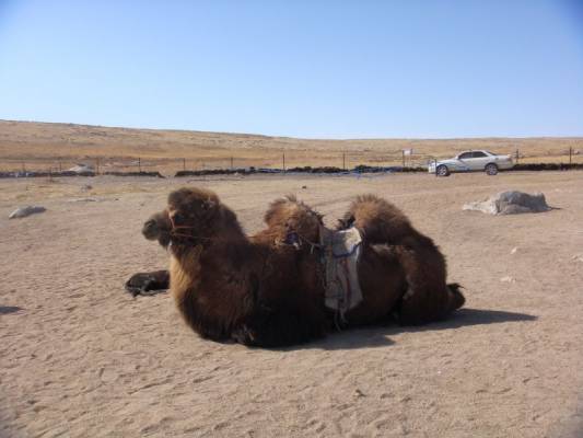 �������