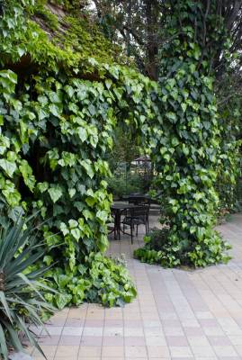 � �������� ����������