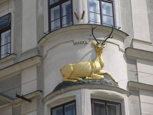 ���-�����