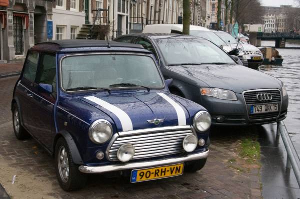 ���� �������