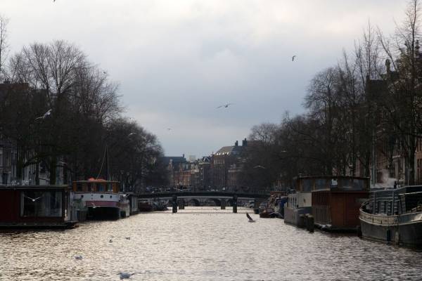 �������� �� �������