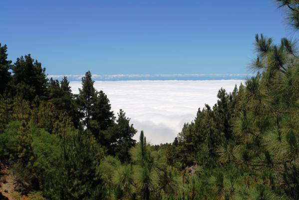 These are real clouds!