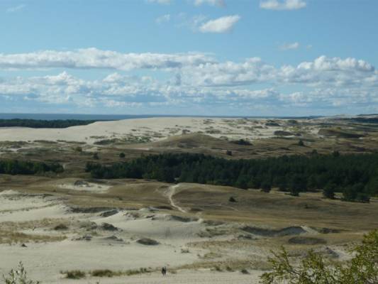 Куршская коса