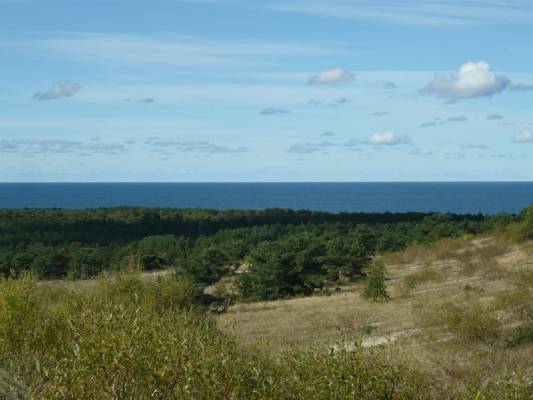 куршская коса