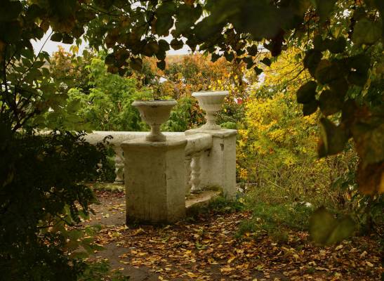 �����, �������....