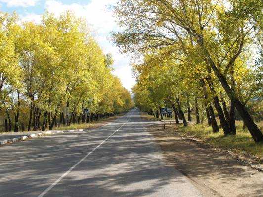 ��� ������ �����