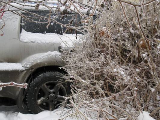 � ������� ����� 26 ������� 2010 �. ���������