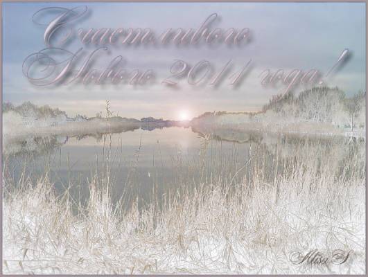 Счастливого Нового 2011 года!