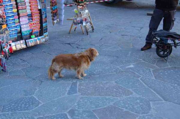 . Piazza della Signoria,  