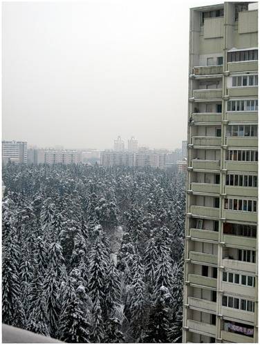 ������ ����������