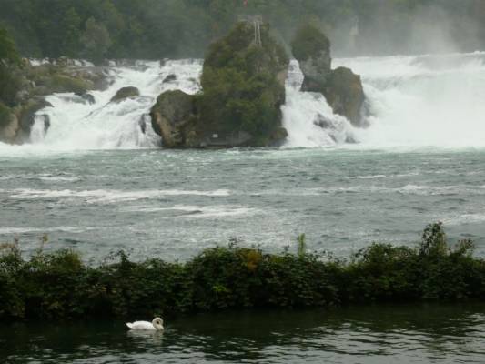 �������� �������/���������