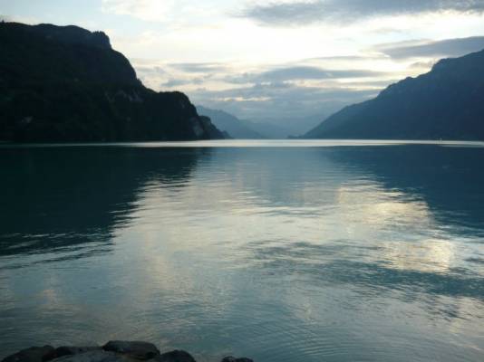 ����� ������