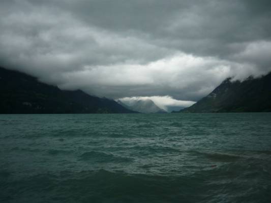 ����� ������