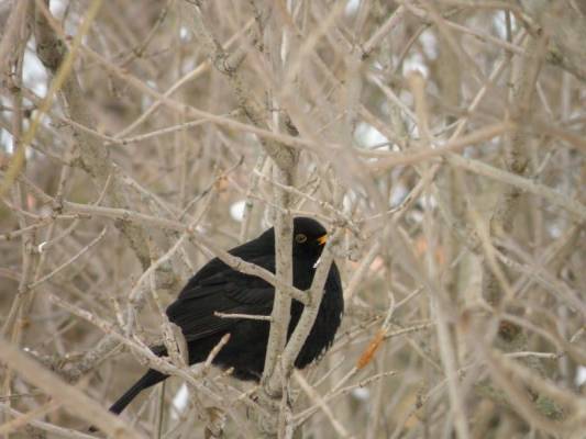 �� ���� ���?