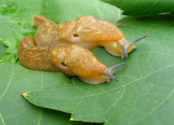 �� �����...