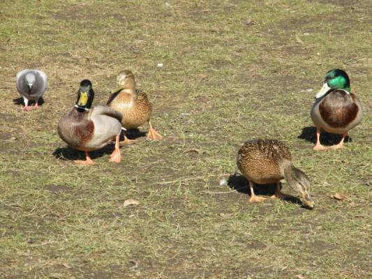 ���������