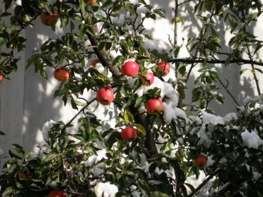 ����������