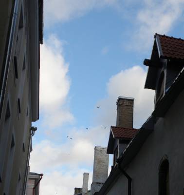 ����� ������