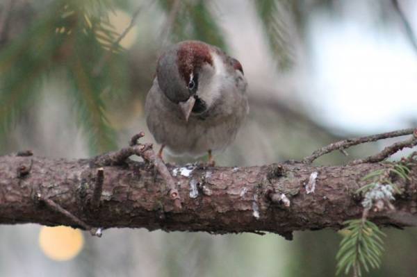 ��� ��� ���?