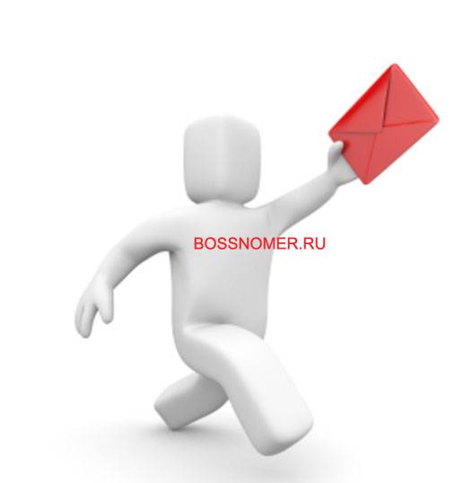   bossnomer.ru